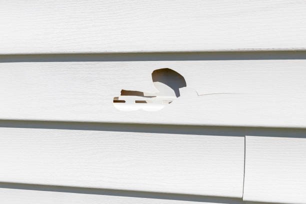 Best Siding Painting and Refinishing  in Crivitz, WI